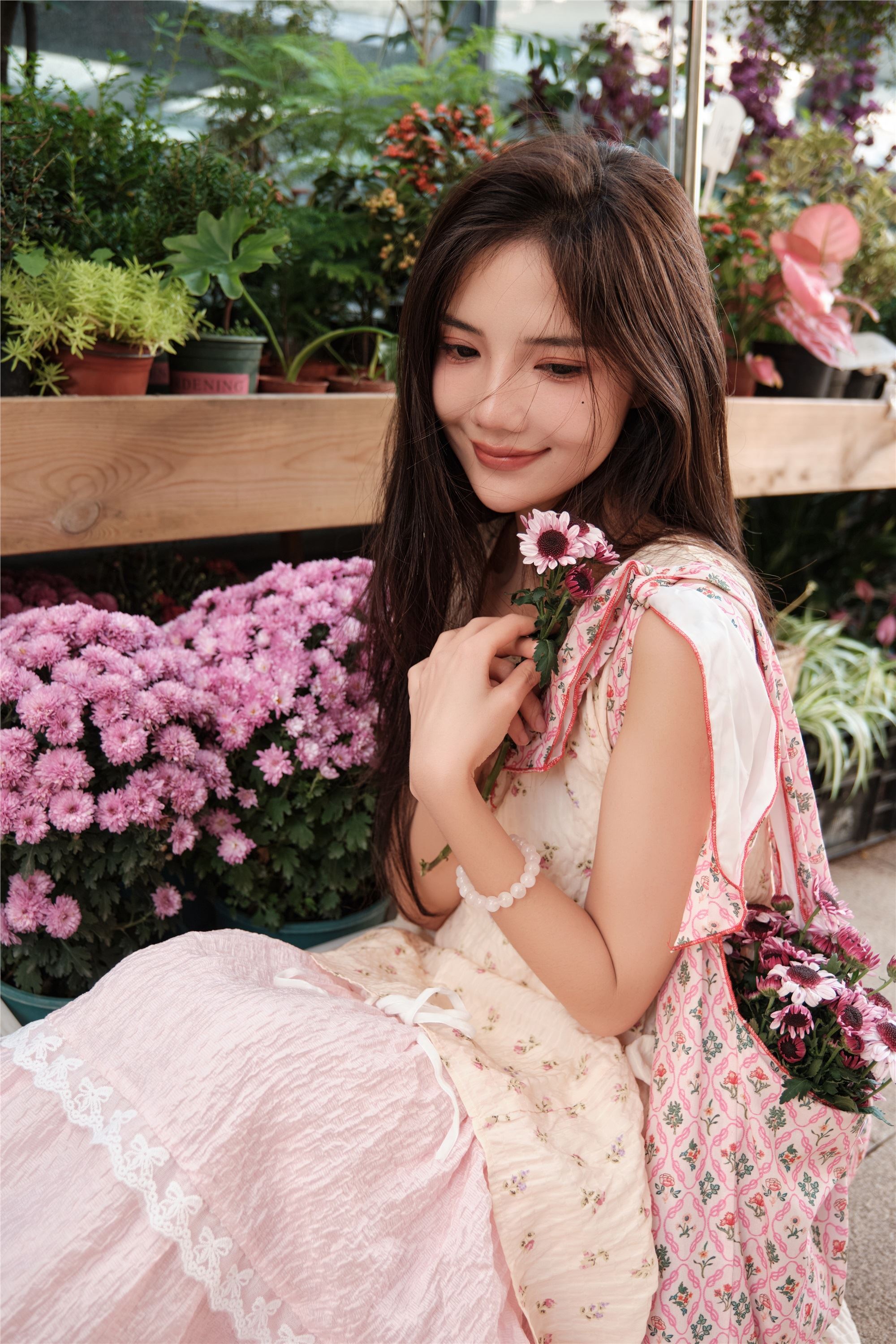 YITUYU艺图语 2025.01.12 花期正好 多米Domy